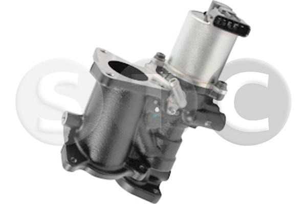 EGR Valve (T493118)