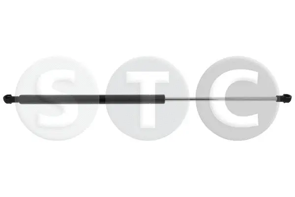 Gas Spring, boot/cargo area (T446175)