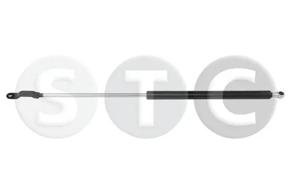 Gas Spring, boot/cargo area (T446383)