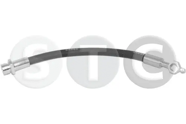 Brake Hose (T496600)