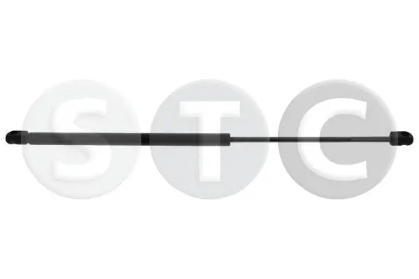 Gas Spring, boot/cargo area (T446201)