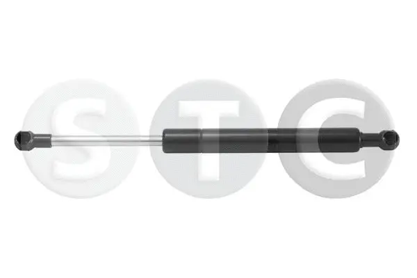 Gas Spring, boot/cargo area (T446130)