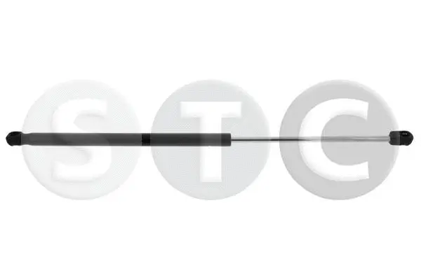 Gas Spring, rear window (T446890)