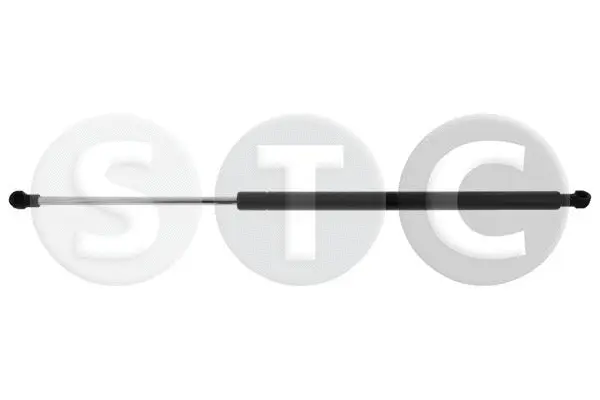 Gas Spring, bonnet (T446337)