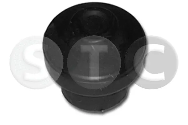 Mounting, engine (T454007)