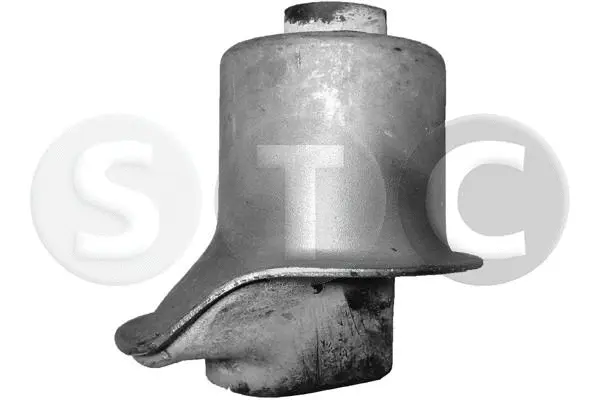 Bushing, axle beam (T402856)