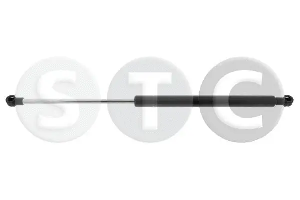 Gas Spring, boot/cargo area (T446164)