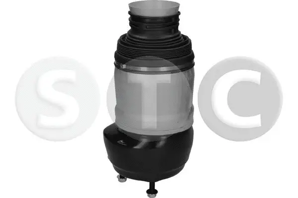 Air Spring, suspension