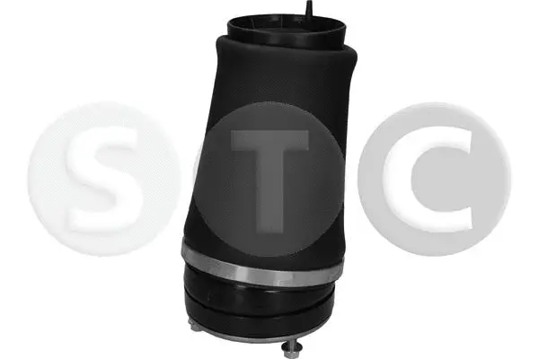 Air Spring, suspension