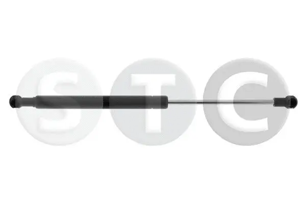 Gas Spring, boot/cargo area (T446605)