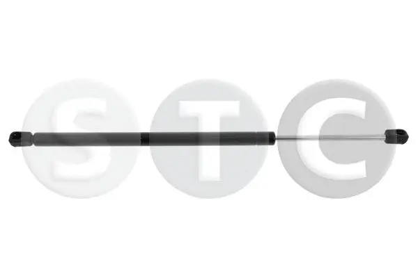 Gas Spring, boot/cargo area (T446536)