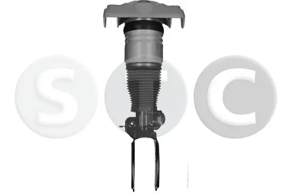 Air Suspension Strut