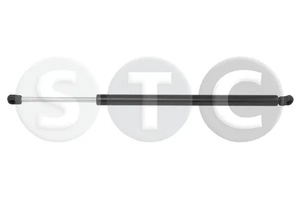 Gas Spring, boot/cargo area (T446540)