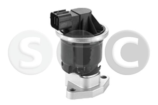 EGR Valve (T493226)
