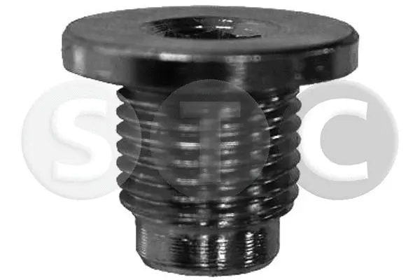 Screw Plug, oil sump (T405442)