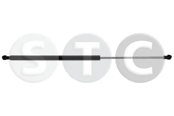 Gas Spring, boot/cargo area (T446257)