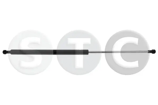 Gas Spring, boot/cargo area (T446785)