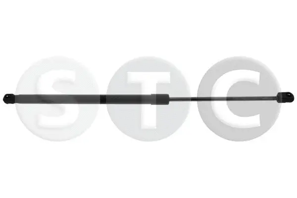 Gas Spring, boot/cargo area (T446699)