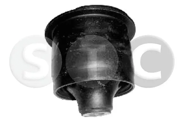 Bushing, axle beam (T458428)