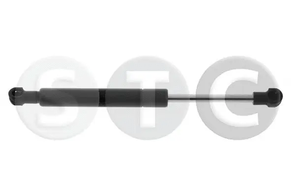 Gas Spring, boot/cargo area (T446618)
