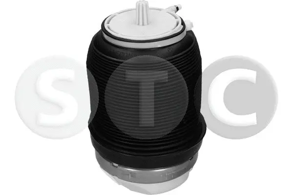 Air Spring, suspension