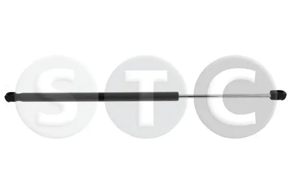 Gas Spring, boot/cargo area (T446239)