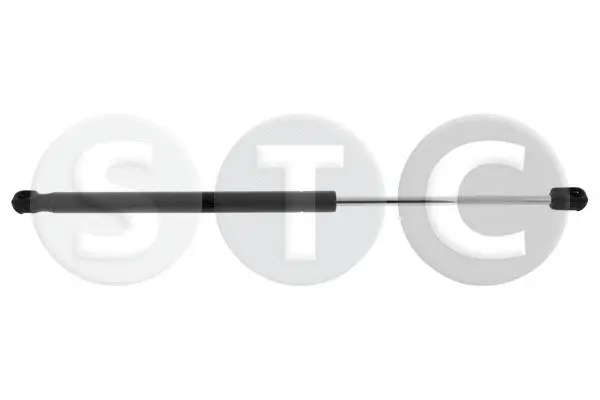 Gas Spring, boot/cargo area (T446435)