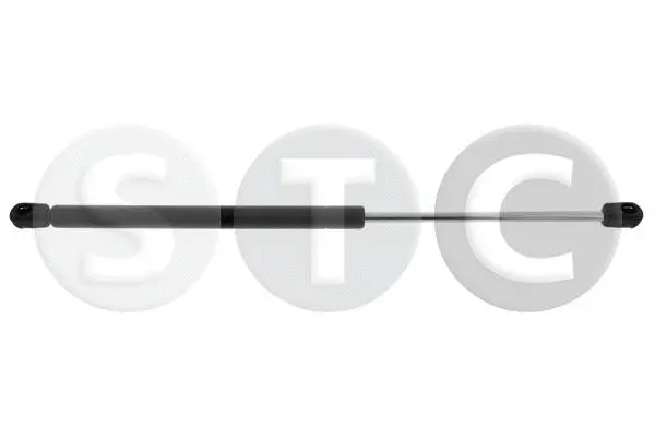 Gas Spring, boot/cargo area (T446582)
