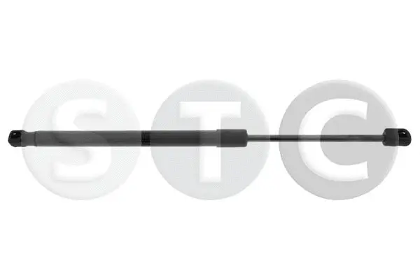 Gas Spring, bonnet (T446463)