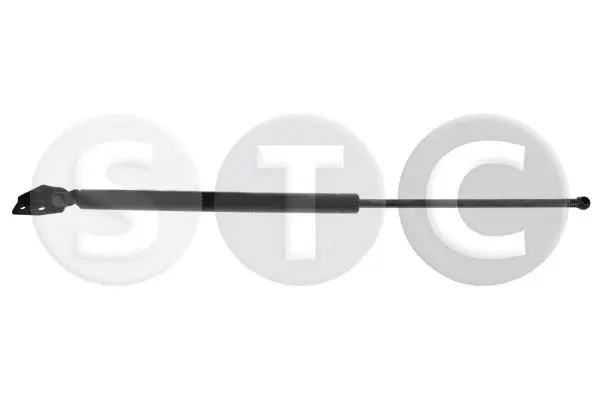 Gas Spring, boot/cargo area (T446219)