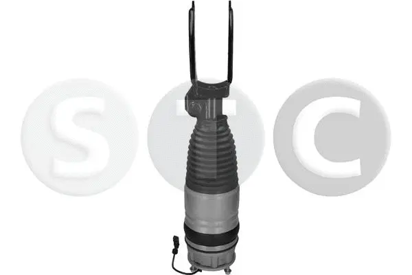 Air Suspension Strut