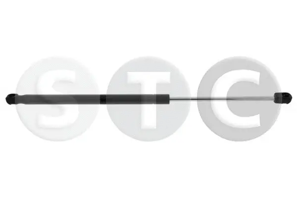 Gas Spring, boot/cargo area (T446478)