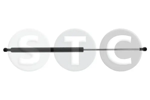 Gas Spring, boot/cargo area (T446199)