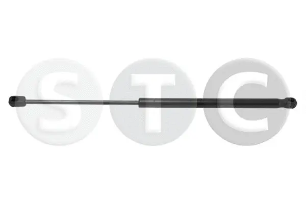 Gas Spring, boot/cargo area (T446135)