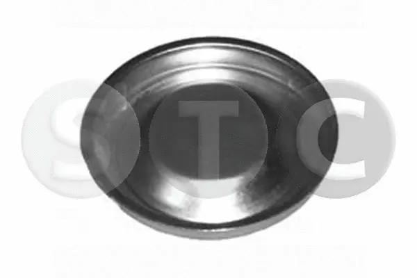 Protection Lid, wheel hub (T443490)
