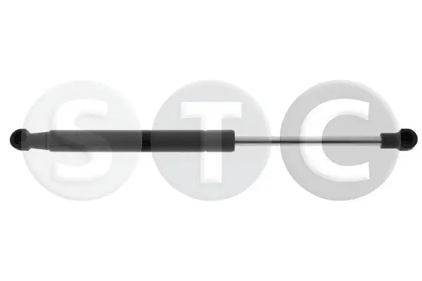 Gas Spring, bonnet (T446862)