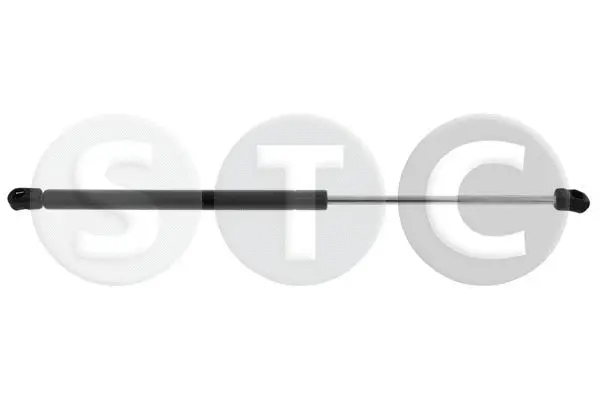 Gas Spring, boot/cargo area (T446608)