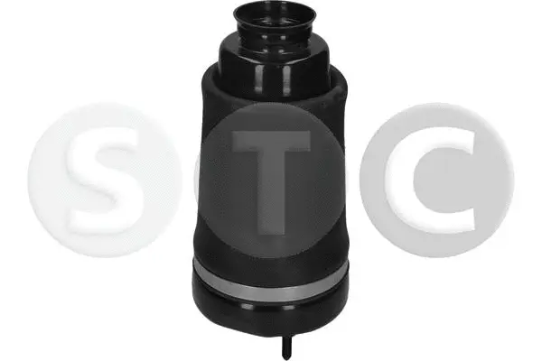 Air Spring, suspension
