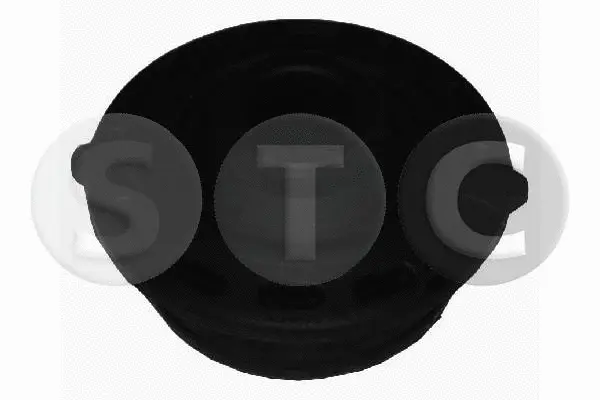 Mounting, control/trailing arm (T404651)