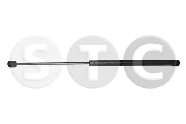 Gas Spring, boot/cargo area (T446399)