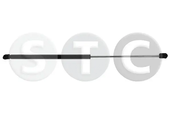 Gas Spring, boot/cargo area (T446747)