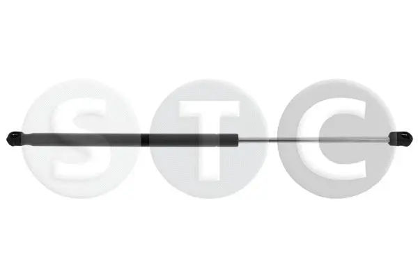 Gas Spring, boot/cargo area (T446344)