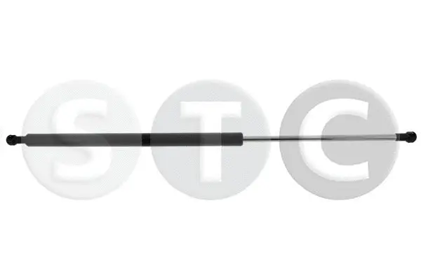 Gas Spring, boot/cargo area (T446650)