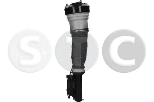 Air Suspension Strut