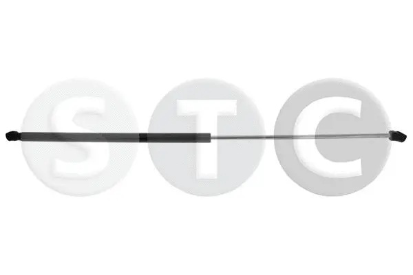 Gas Spring, bonnet (T446712)