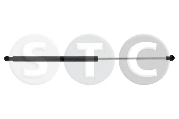 Gas Spring, bonnet (T446189)
