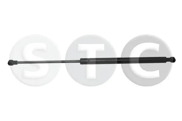 Gas Spring, boot/cargo area (T446182)