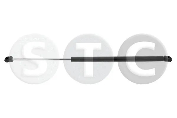 Gas Spring, boot/cargo area (T446378)