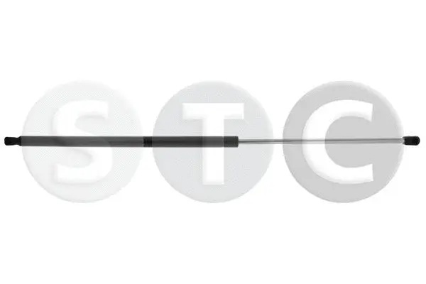 Gas Spring, boot/cargo area (T446681)