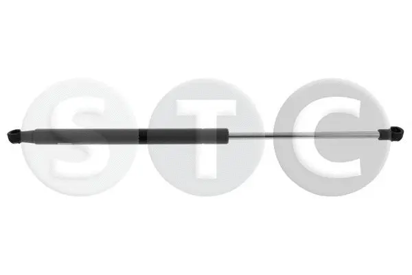 Gas Spring, boot/cargo area (T446635)